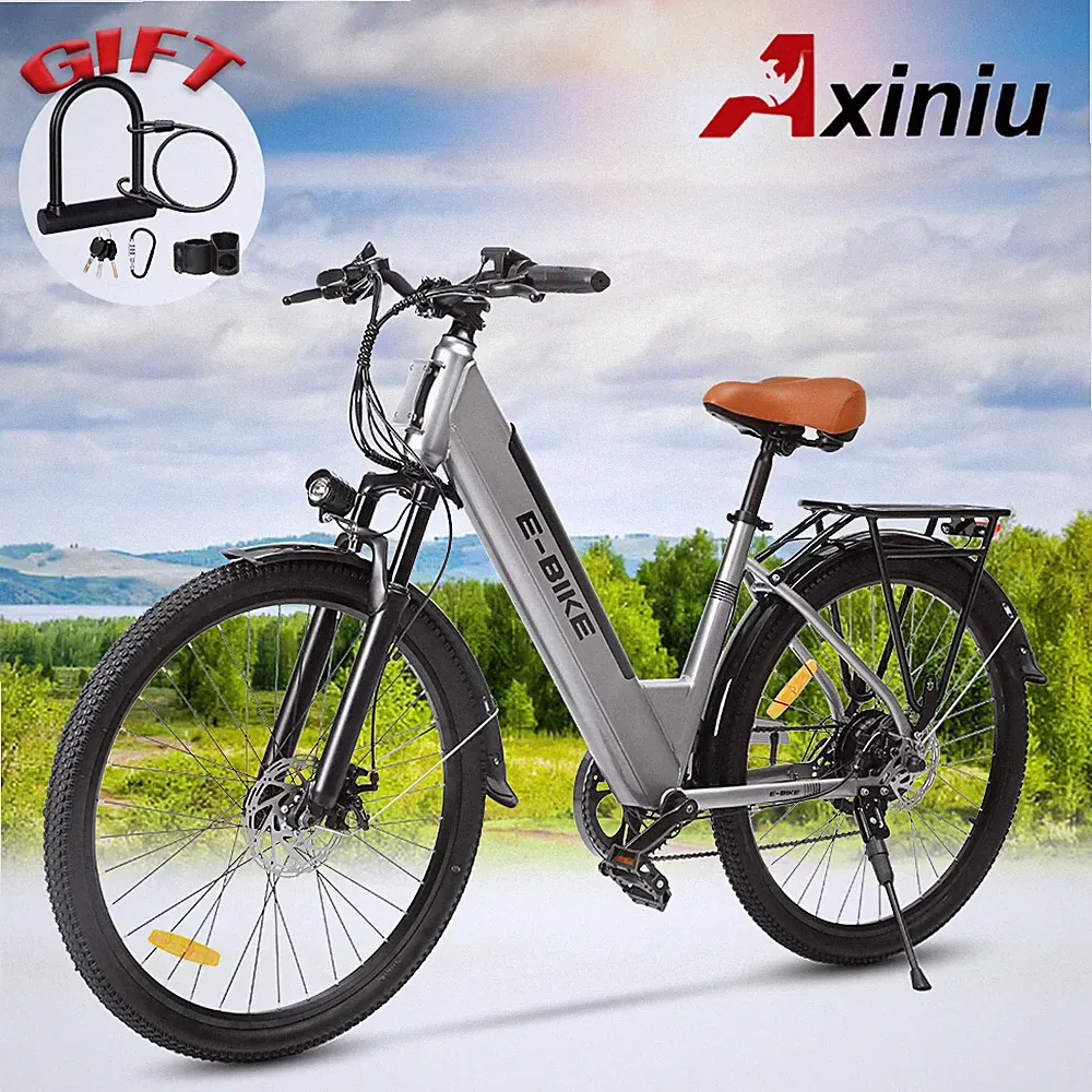 3 Speeds Electric Mountain Bike