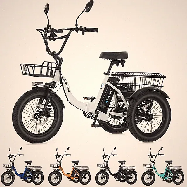 Narrak Fat Tire Folding Electric Trike Peak 700W 468WH Removable Battery