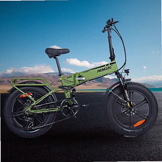 Paselec Folding Electric Bike 1000W Peak Removable Battery 7-Speed 20" eBike USA